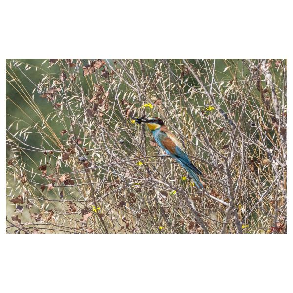 PHOTO84, CLUB, 84 , LUBERON